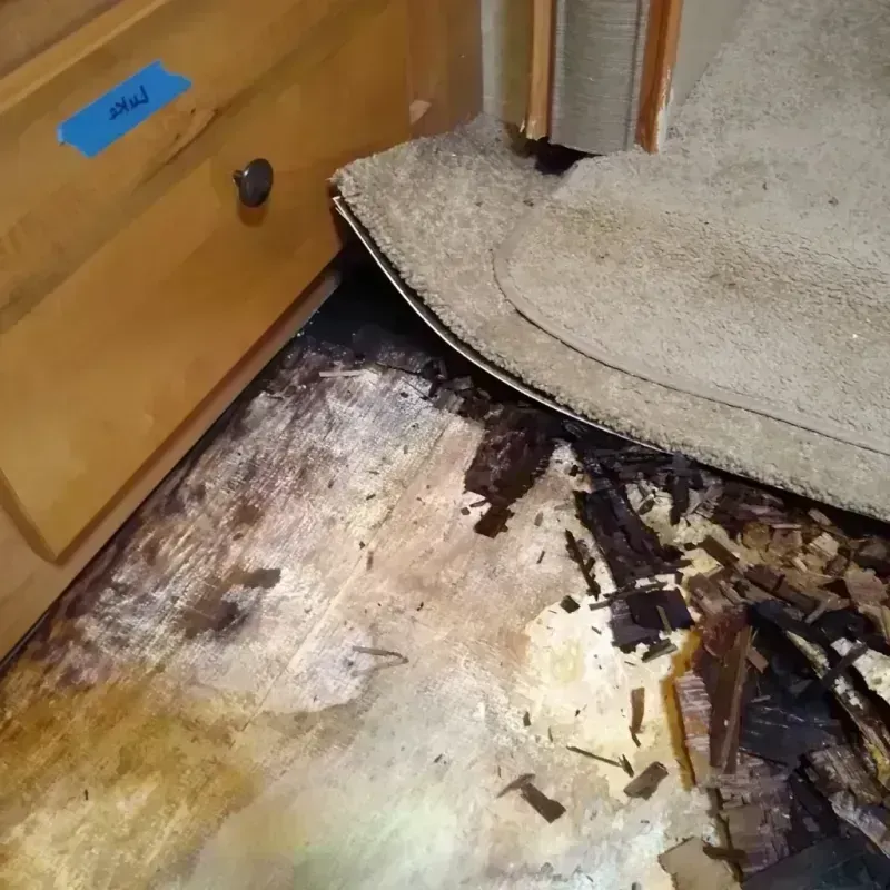 Best Wood Floor Water Damage Service in Greenwich, NY